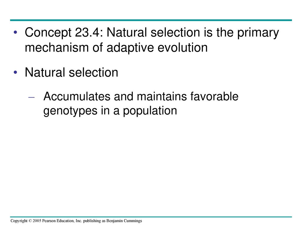Concept 23.4: Natural selection is the primary mechanism of adaptive evolution