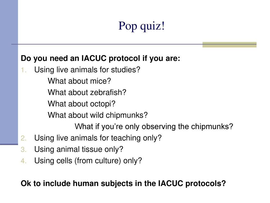Responsible Conduct of Research ppt download