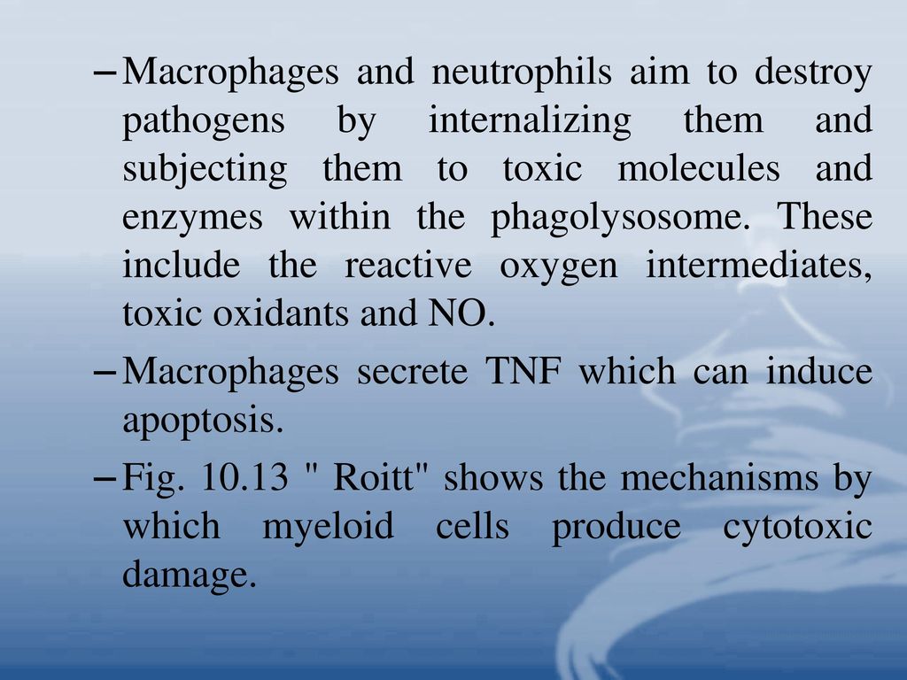 Macrophages and neutrophils aim to destroy pathogens by internalizing them and subjecting them to toxic molecules and enzymes within the phagolysosome. These include the reactive oxygen intermediates, toxic oxidants and NO.