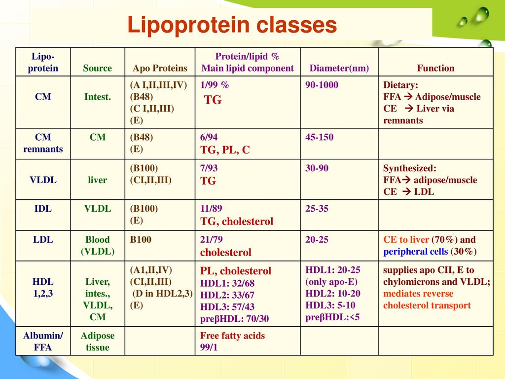 Dr Eman Shaat Professor Of Medical Biochemistry And Molecular Biology Ppt Download