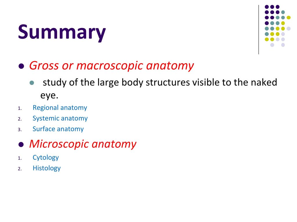Chapter 1 Organization of human body. Biology Diagrams