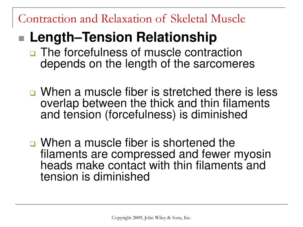 Chapter 10: Muscular Tissue - ppt download