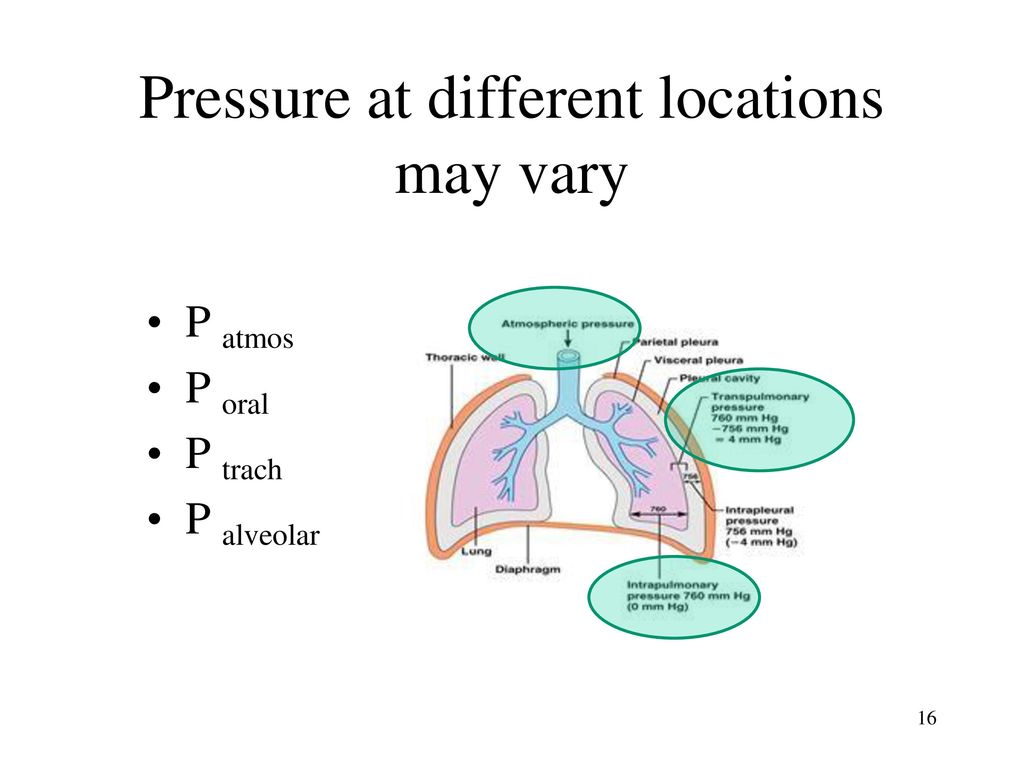 Pressure at different locations may vary