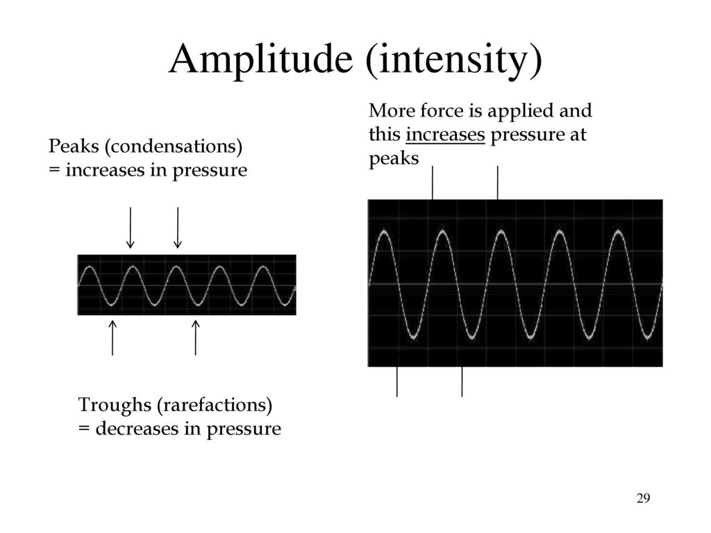 Amplitude (intensity)