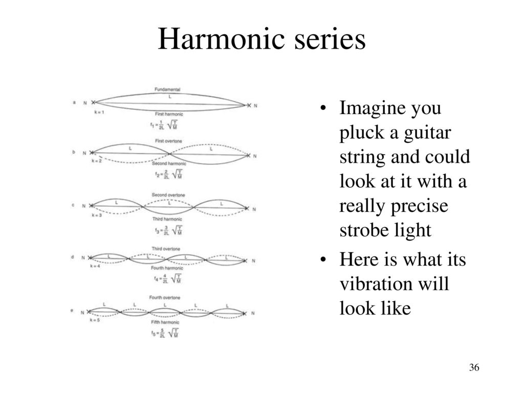 Harmonic series Imagine you pluck a guitar string and could look at it with a really precise strobe light.