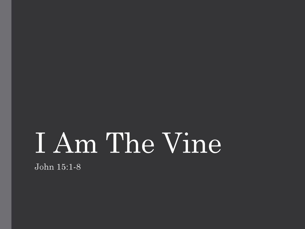 I Am The Vine John 15 1 8 Only In John s Gospel Ppt Download what-does-john-20-8-mean