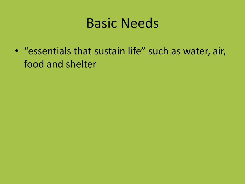 Basic Needs essentials that sustain life such as water, air, food and shelter