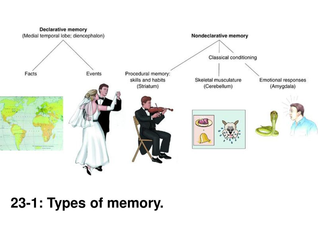 23-1: Types of memory.