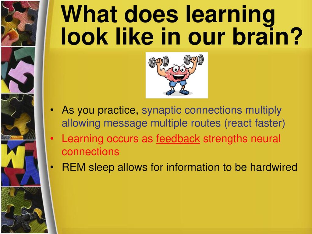 Study people by watching their behavior - ppt download