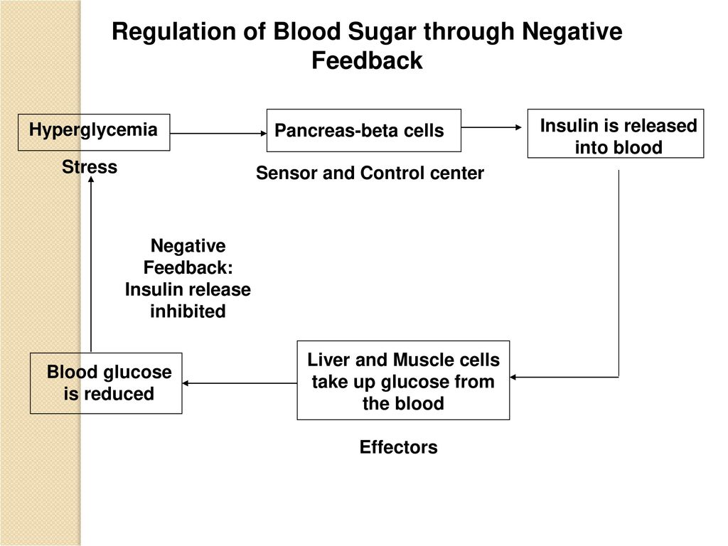 Human endocrine system ppt download