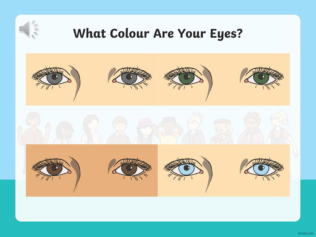 What Colour Are Your Eyes