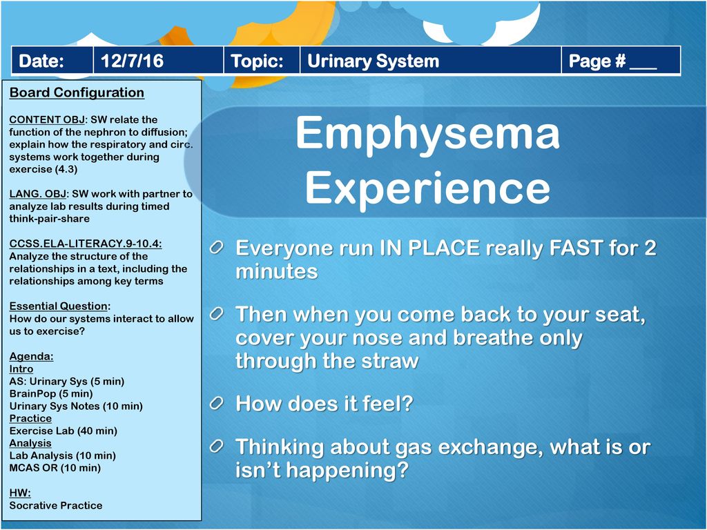 Admit slip 12 7 16 brainstorm the urinary system ppt download