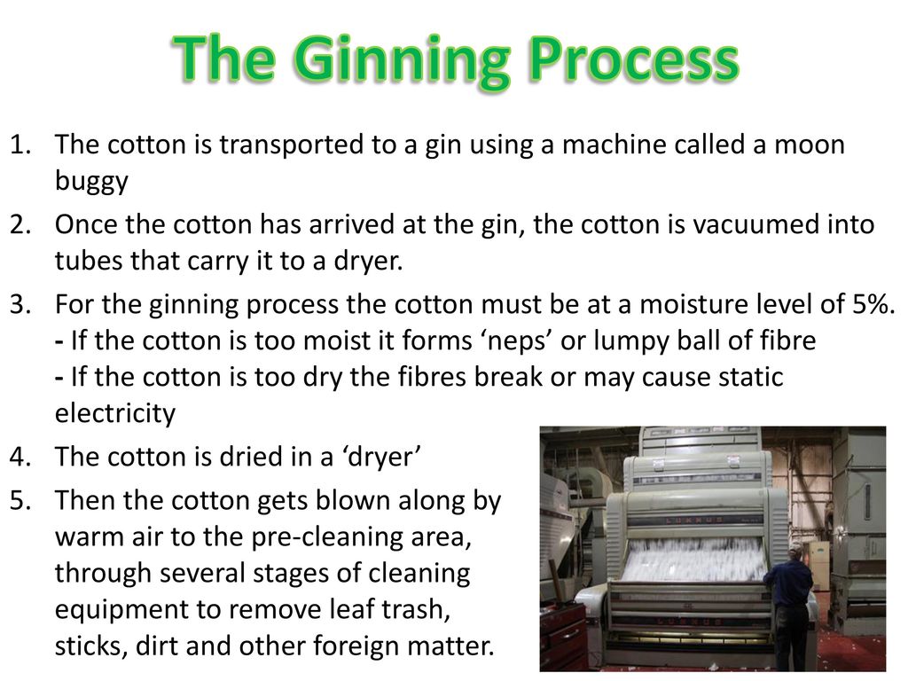 Ginning and Manufacturing By Ethan. - ppt download