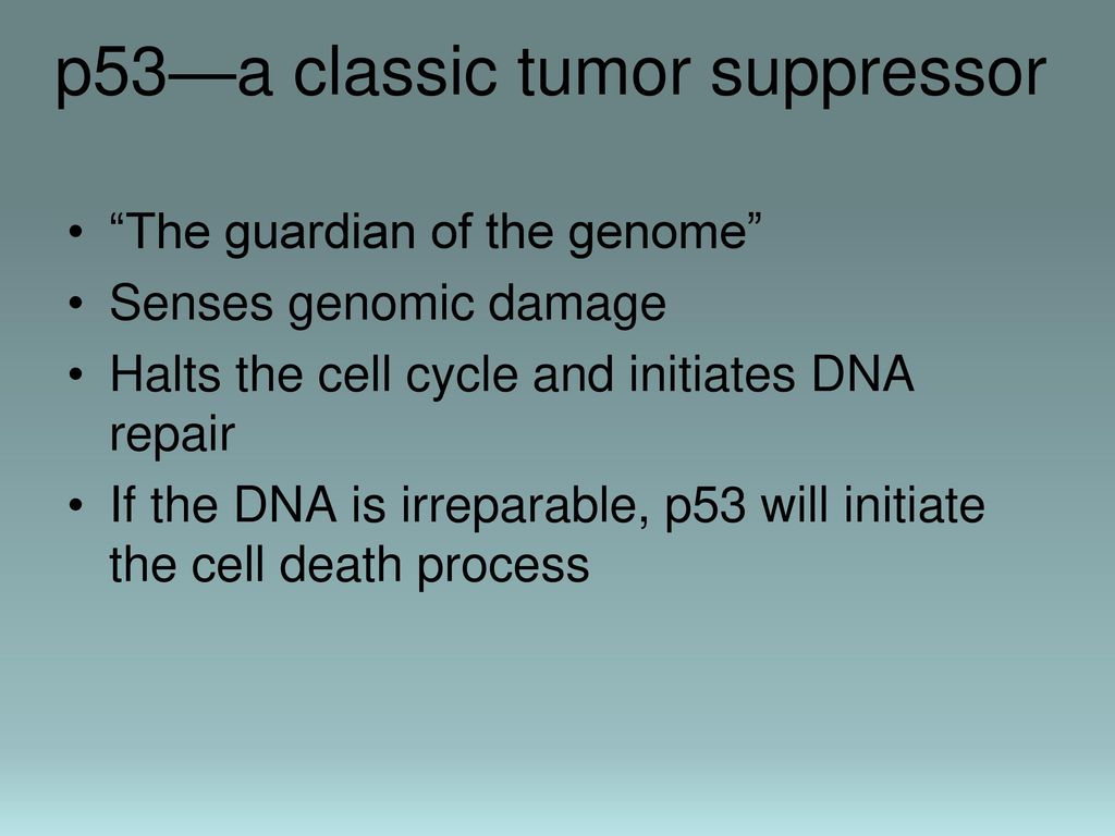 An Introduction to Cancer Biology Diagrams