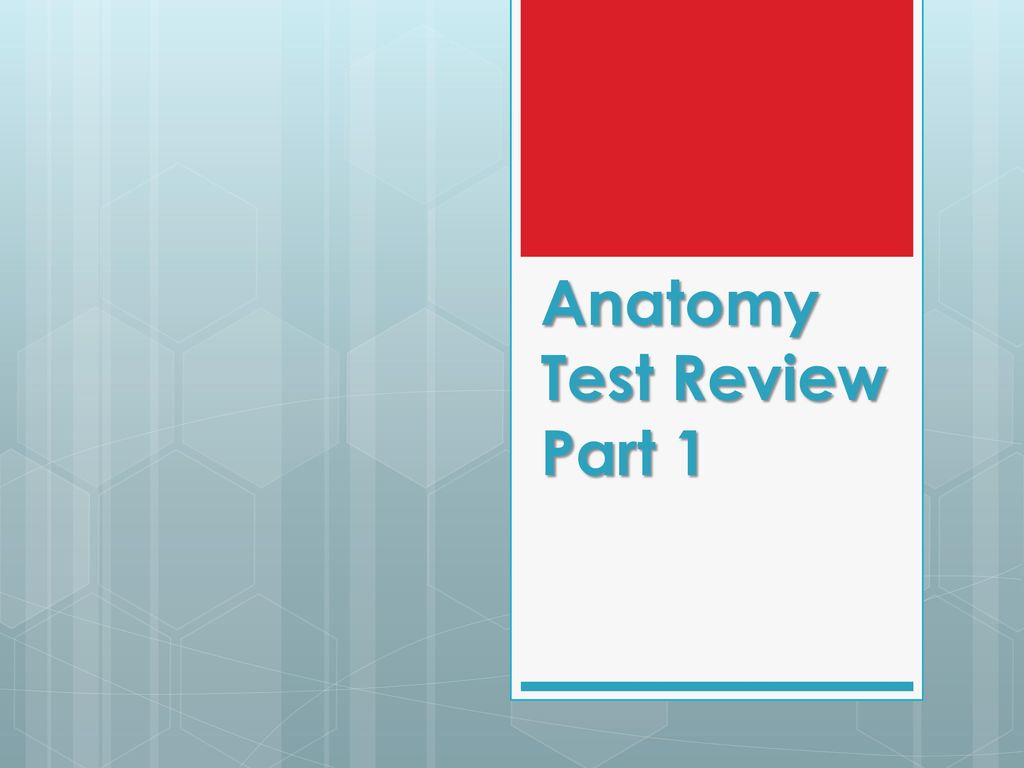 Anatomy Test Review Part 1 - Ppt Download