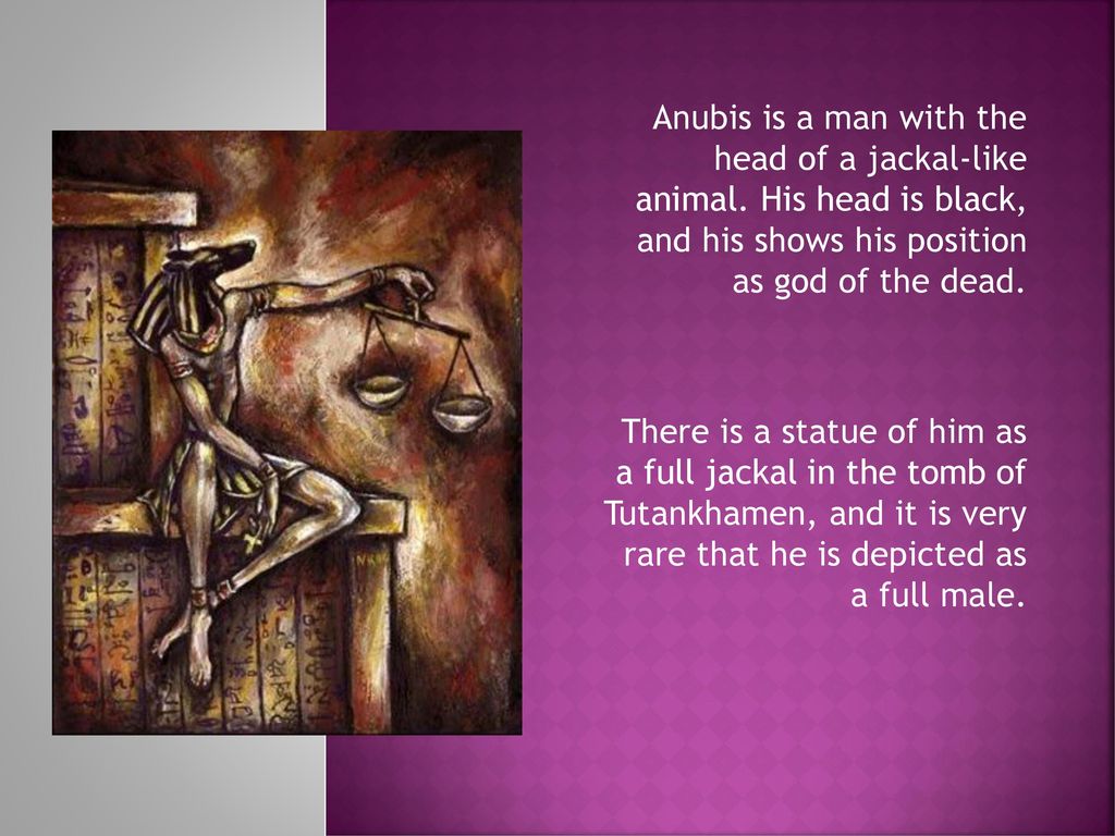 Anubis is a man with the head of a jackal-like animal