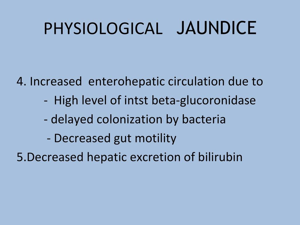 Neonatal Jaundice Dr. Mohammed Jaffer Salih Consultant Neonatologist ...