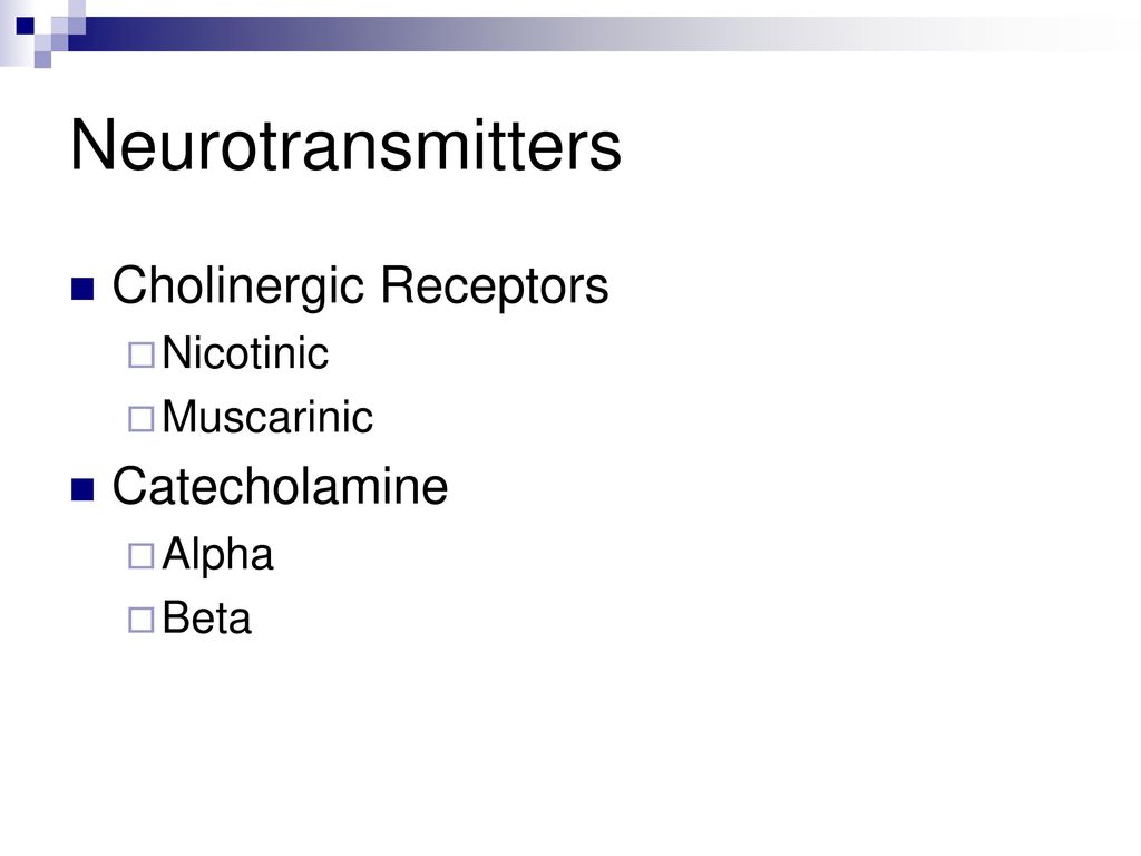 PHYSIOLOGY Nervous System. - ppt download