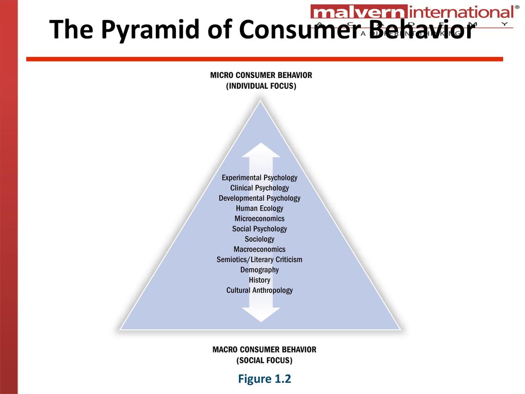 The Pyramid of Consumer Behavior