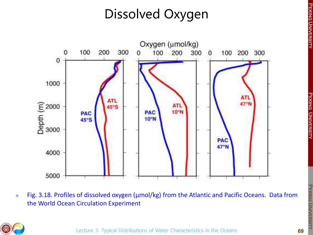 Lecture 3: Typical Distributions of Water Characteristics in the Oceans ...