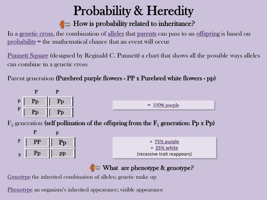 Probability & Heredity