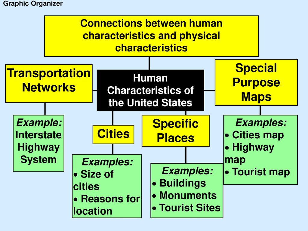 Examples of Physical Characteristics in Humans