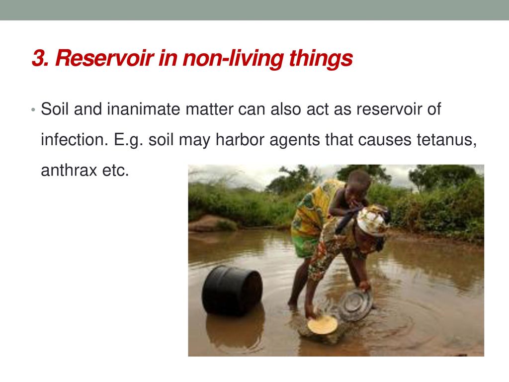 3. Reservoir in non-living things