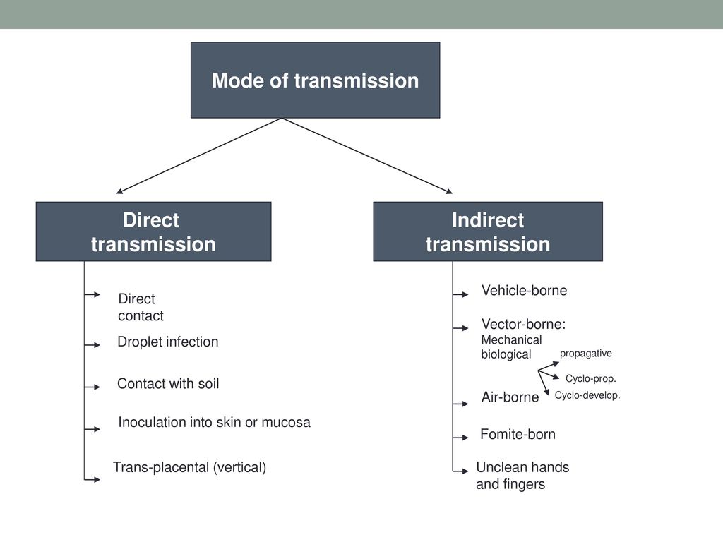 Mode of transmission Direct transmission Indirect