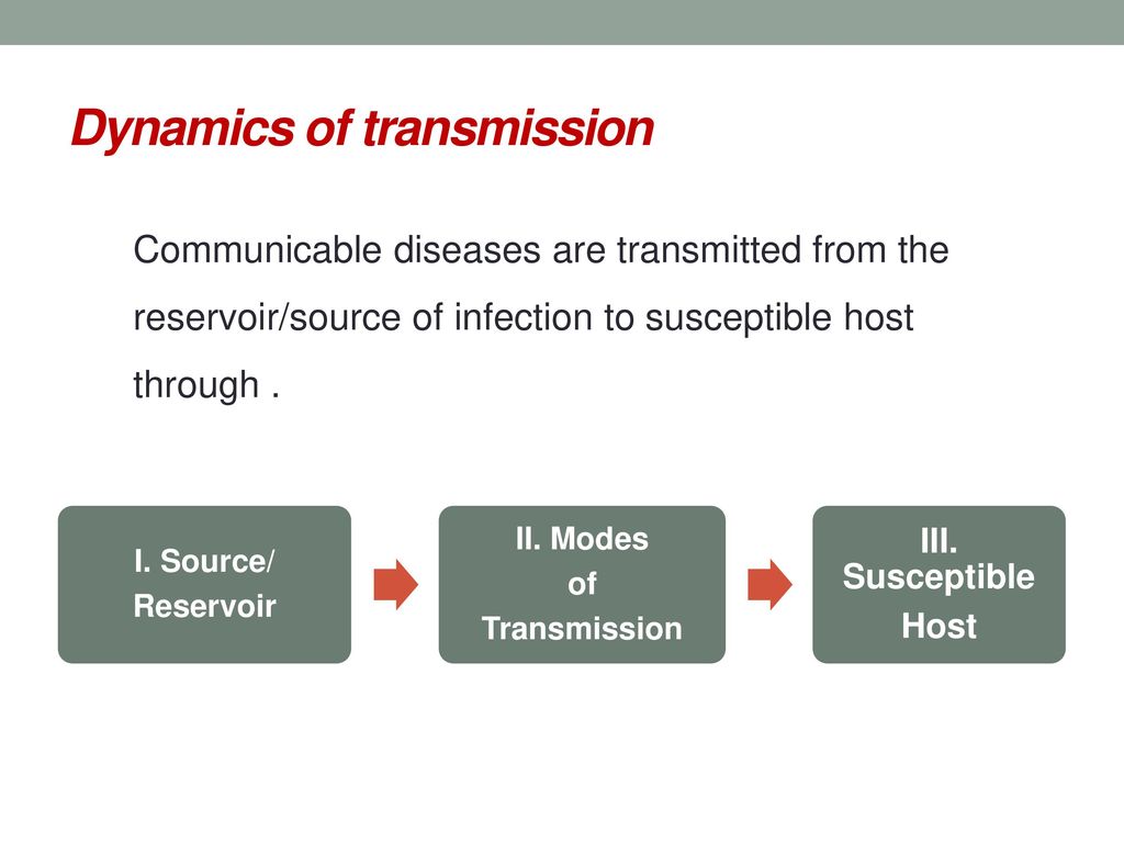 Dynamics of transmission