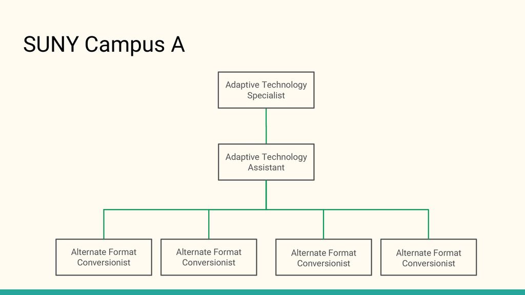 Broward College Organizational Chart