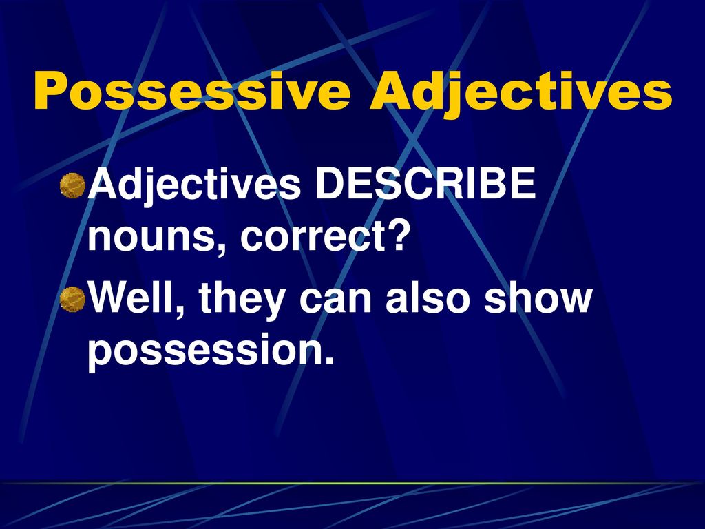 The Fun and Exciting World of Possessive Adjectives - ppt download