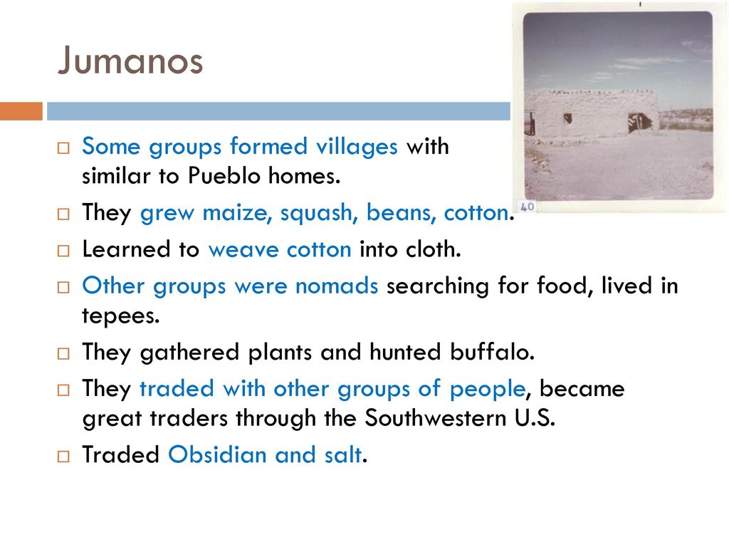 Jumanos Some groups formed villages with homes similar to Pueblo homes. They grew maize, squash, beans, cotton.