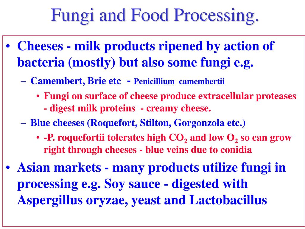 Fungi, Food and Health 1. Edible fungi Biology Diagrams