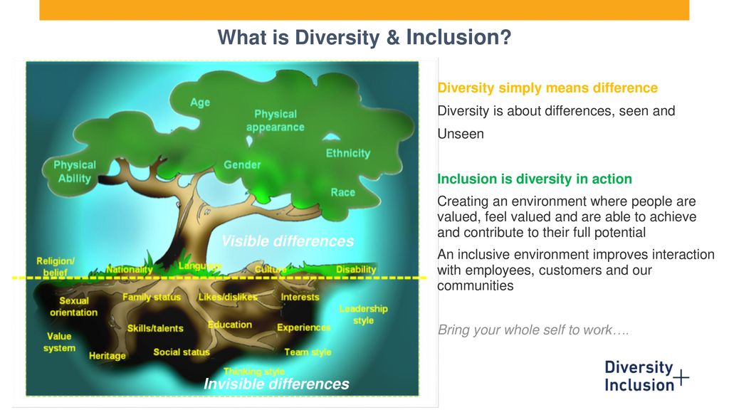 What is Diversity & Inclusion