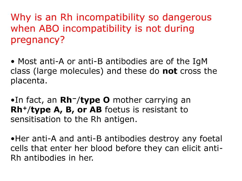 The Blood Group Systems ppt download