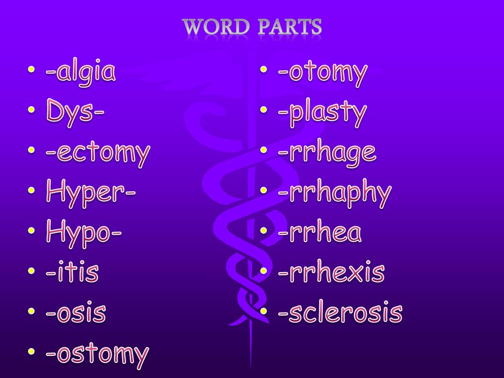 Introduction to Medical Terminology - ppt download