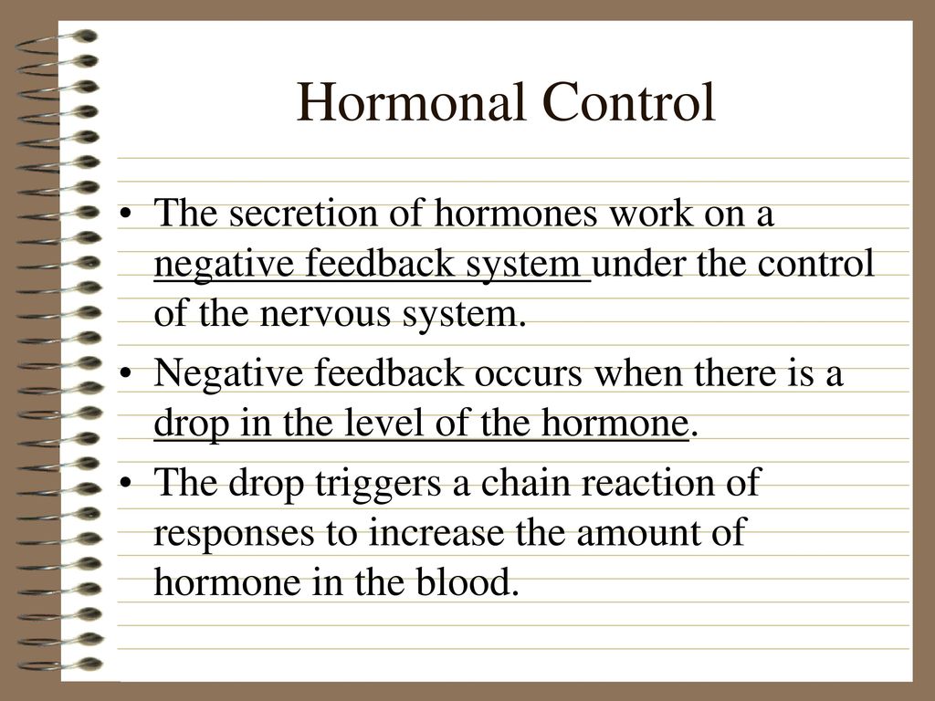 The endocrine system controls many body functions ppt download