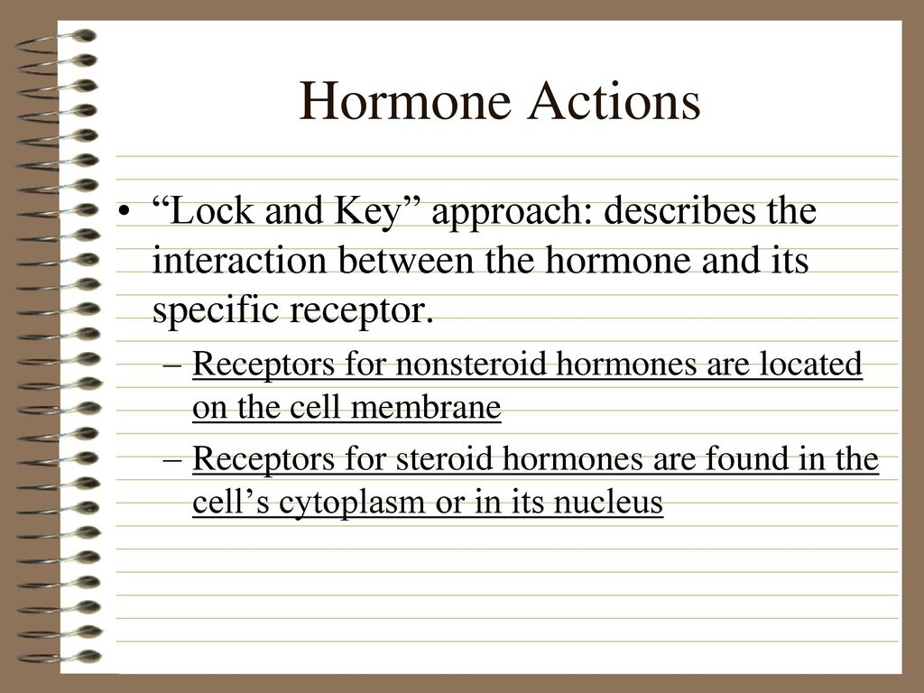 The Endocrine System Controls Many Body Functions Ppt Download the-endocrine-system-controls-many-body-functions-ppt-download