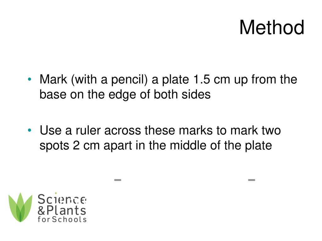 Method Mark (with a pencil) a plate 1.5 cm up from the base on the edge of both sides.