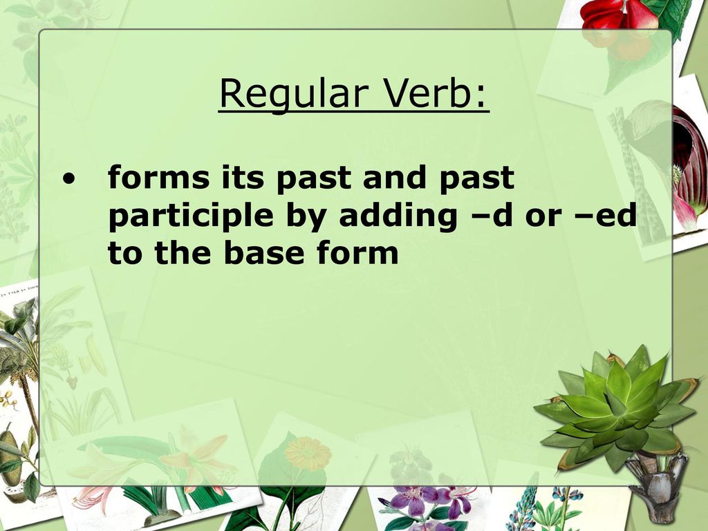 Regular Verb: forms its past and past participle by adding –d or –ed to the base form