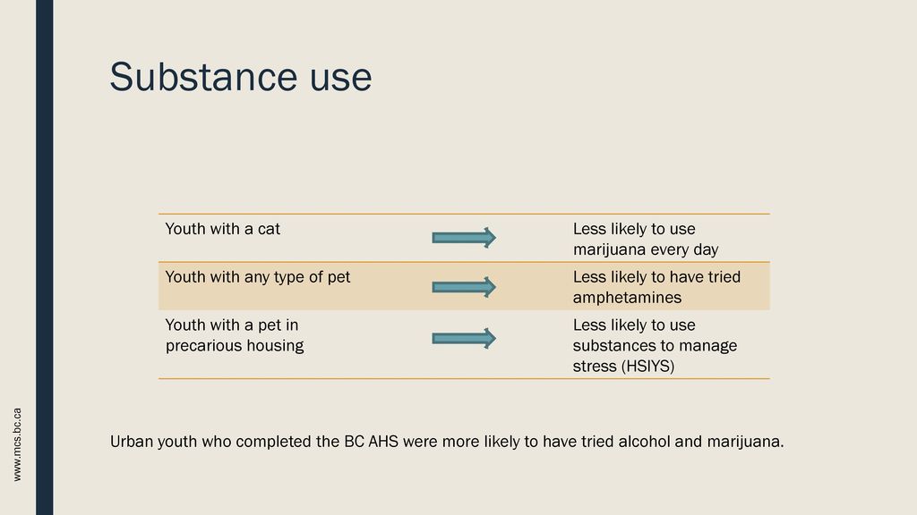 Substance use Youth with a cat Less likely to use marijuana every day