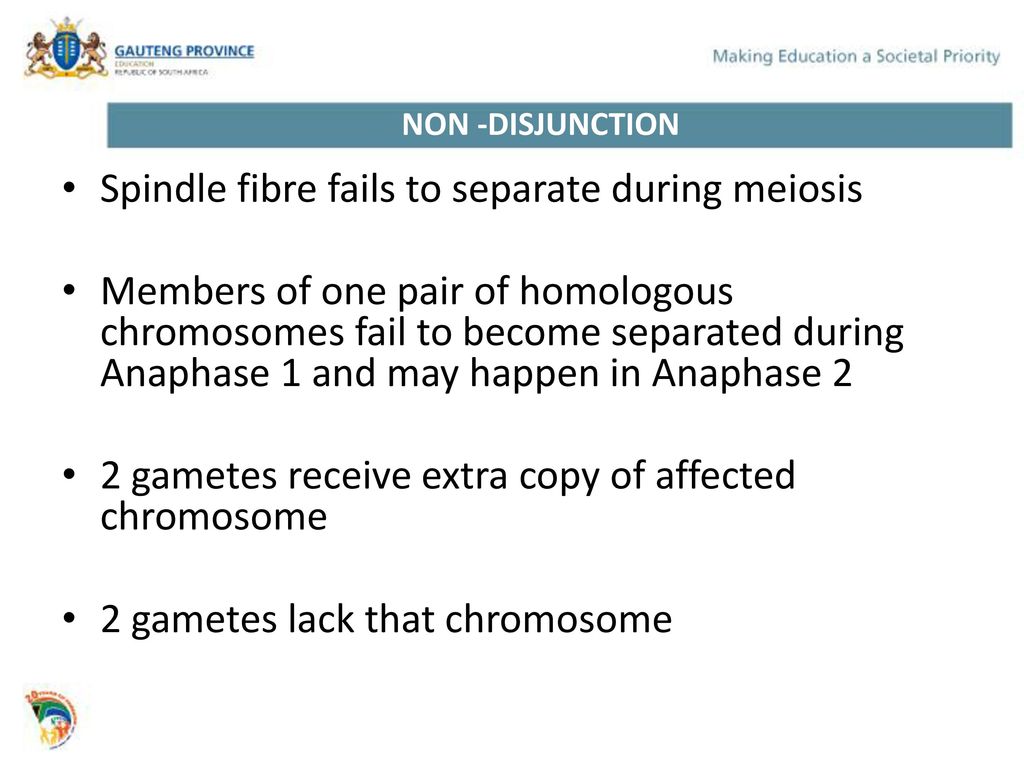Gr.12 Life Sciences Meiosis. Biology Diagrams