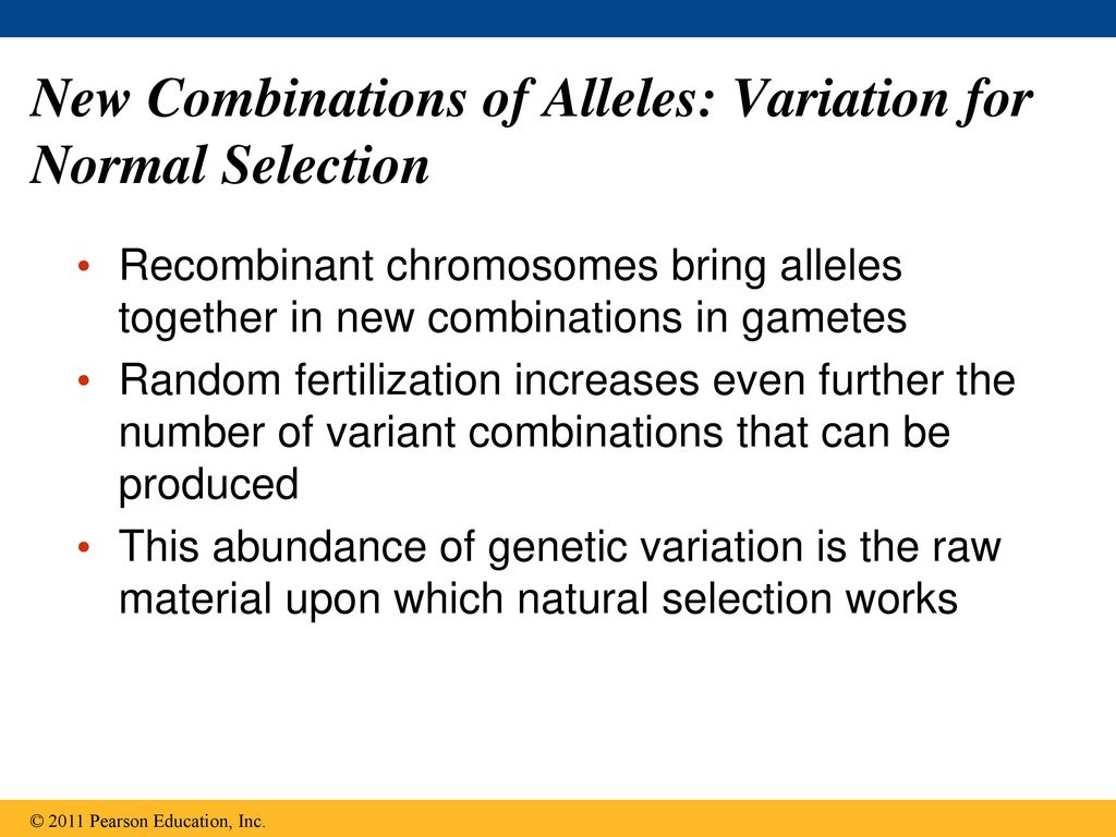 New Combinations of Alleles: Variation for Normal Selection