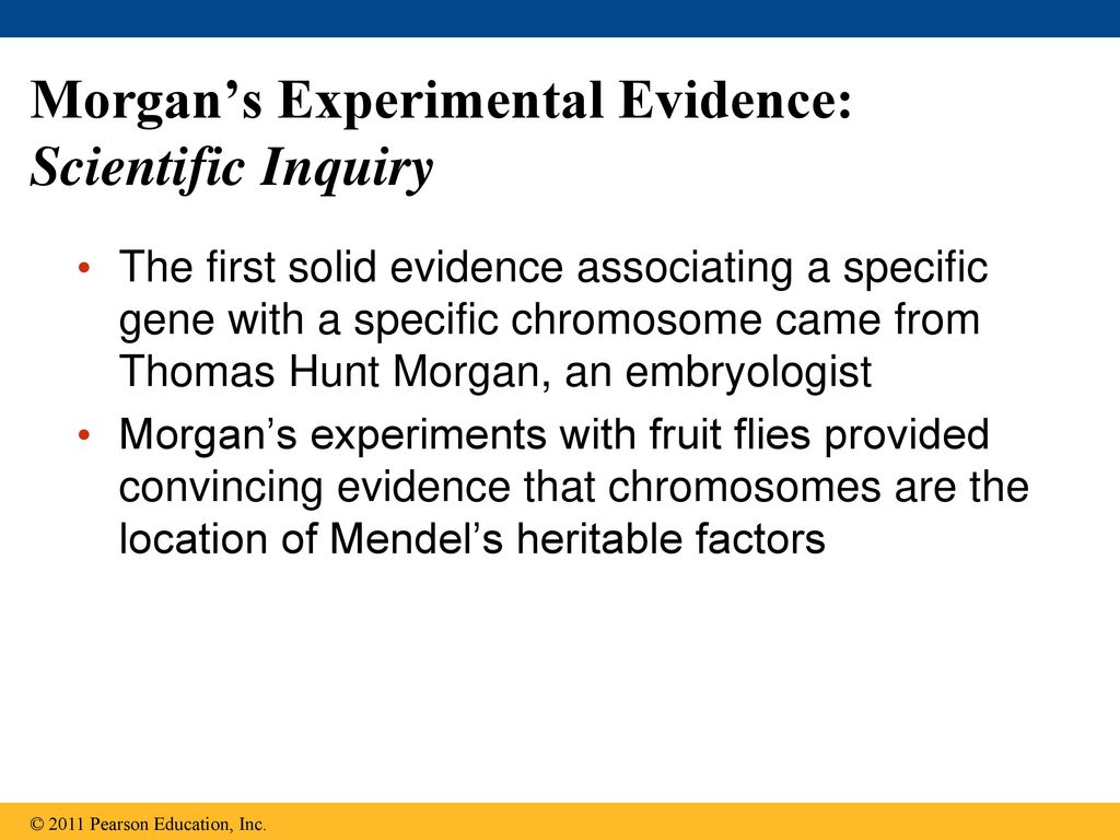 Morgan’s Experimental Evidence: Scientific Inquiry