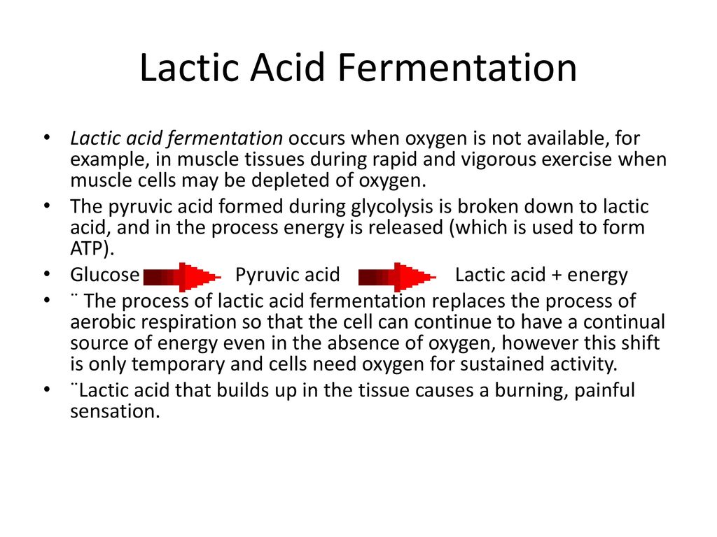 Cellular Respiration. - ppt download