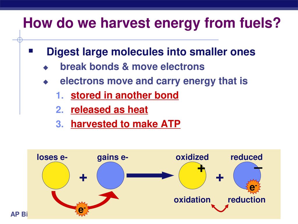 How do we harvest energy from fuels