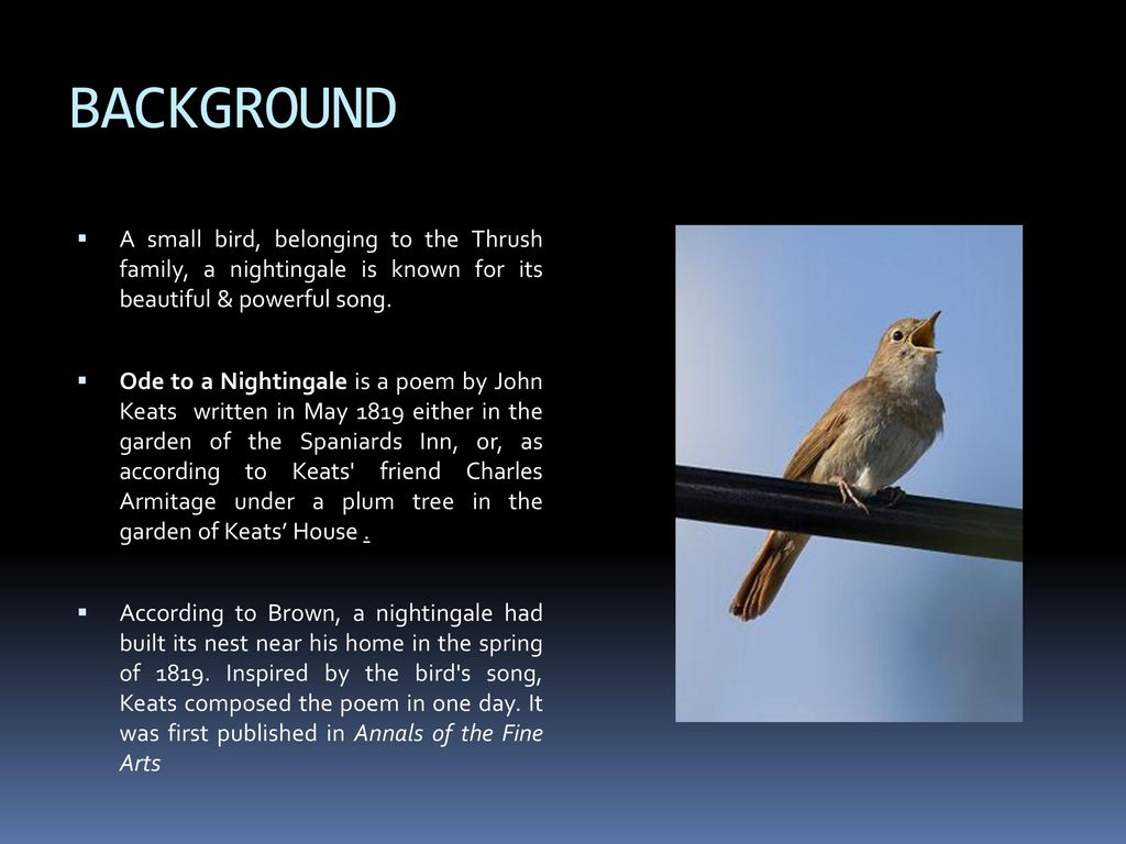 Poetry Songs Bird-independent Nightingale MACR-DE041 SUPER RARE 1 Edition 