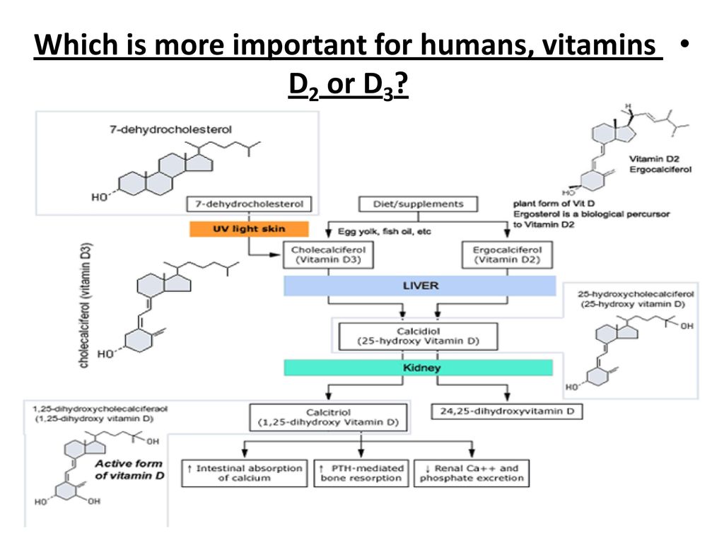 Vitamin D Is A Group Of Fat Soluble Secosteroids Responsible