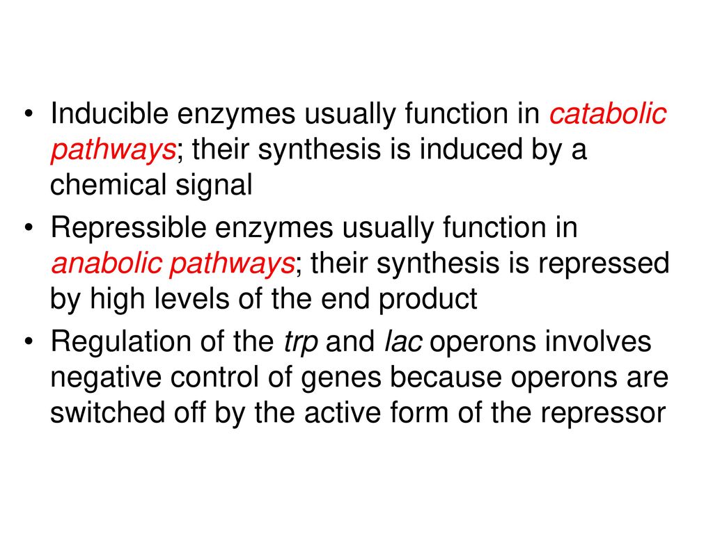 Inducible enzymes usually function in catabolic pathways; their synthesis is induced by a chemical signal