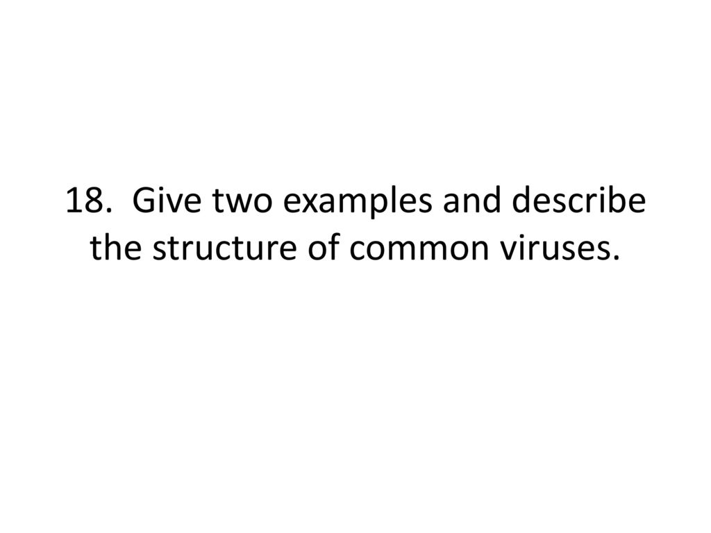 18. Give two examples and describe the structure of common viruses.